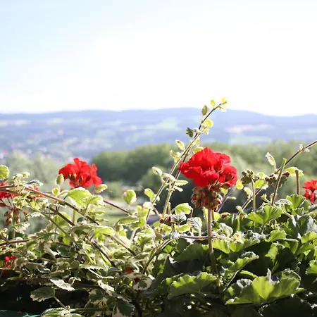 Waldhof Am Stubenbergsee Hotel
