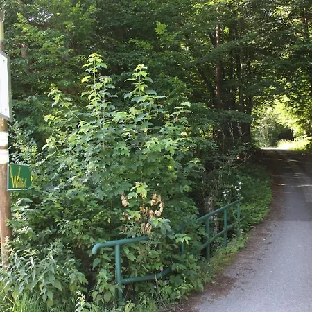 Hotel Waldhof Am Stubenbergsee 3*