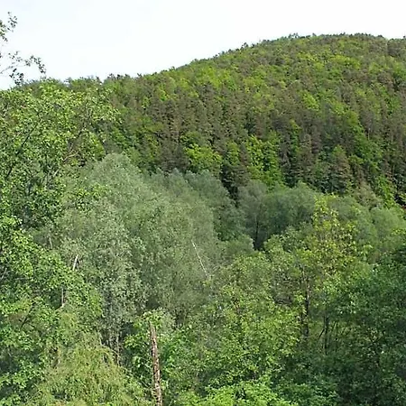 Waldhof Am Stubenbergsee