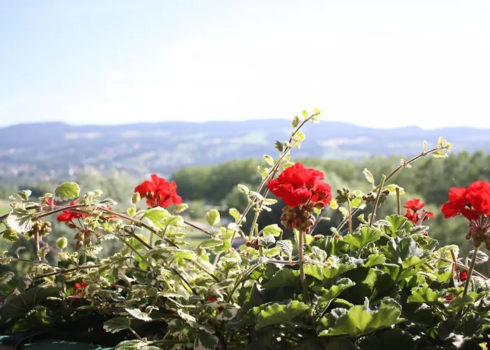 Waldhof Am Stubenbergsee Hotel